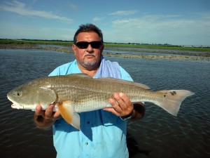 Charleston Fishing Report